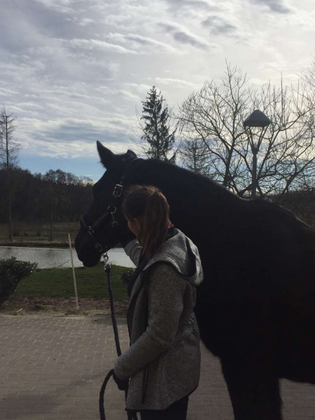 Photo de profil de une_cavaliere57