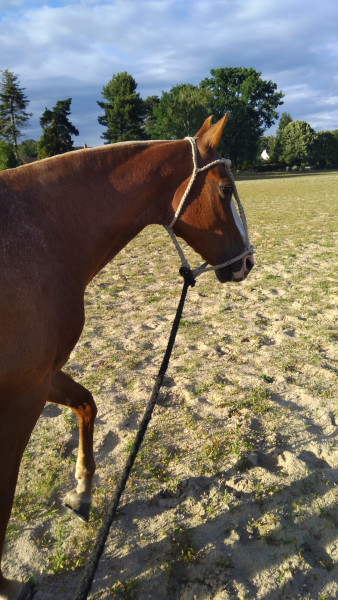 Photo de profil de unique.polo