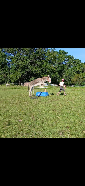 Photo de profil de unrevefou