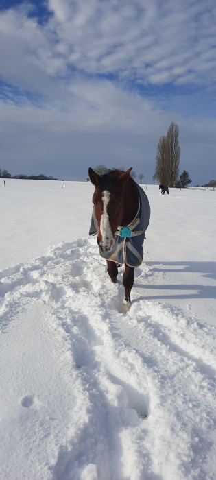 Photo de profil de uranou