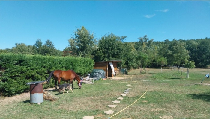 Photo de profil de urielle310575