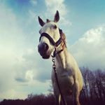 Photo de profil de uriken.janice