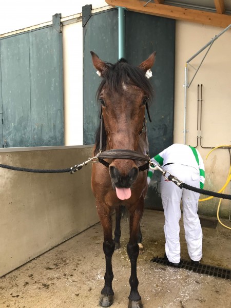 Photo de profil de uschte