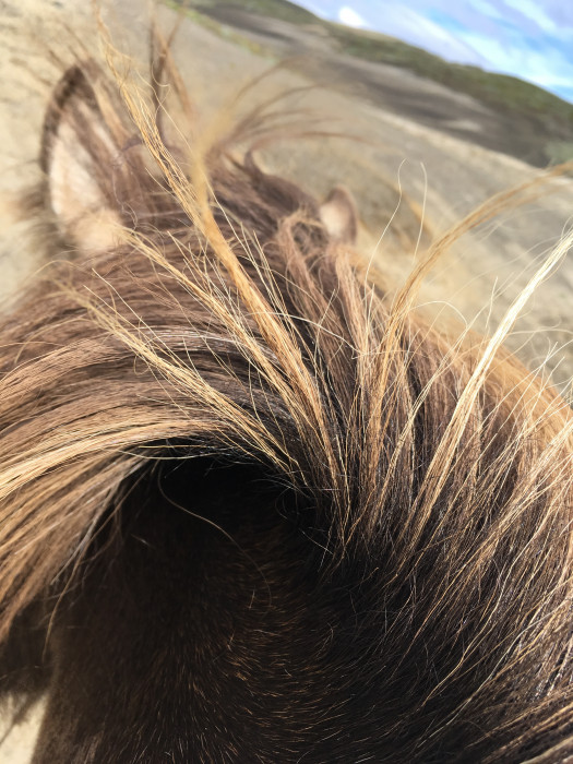 Photo de profil de uxor84