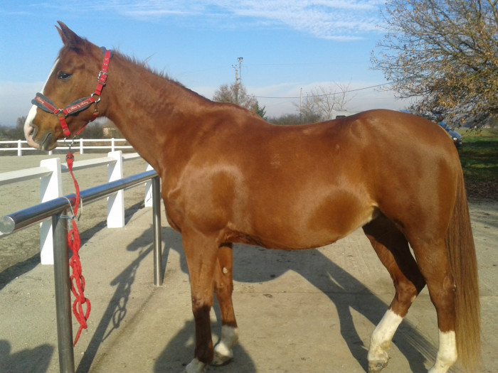 Photo de profil de val31660