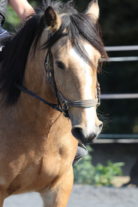 Photo de profil de valaussies