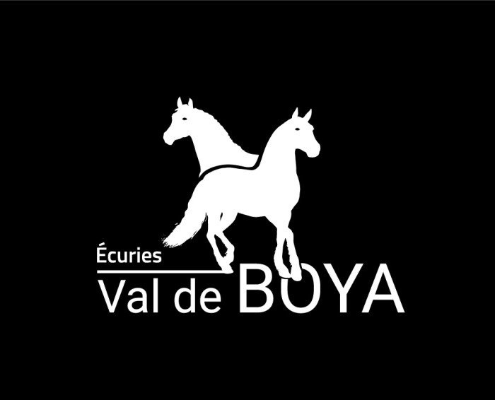 Photo de profil de valdeboya