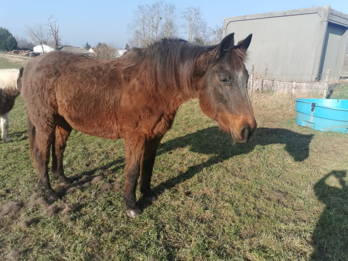 Photo de profil de vale72