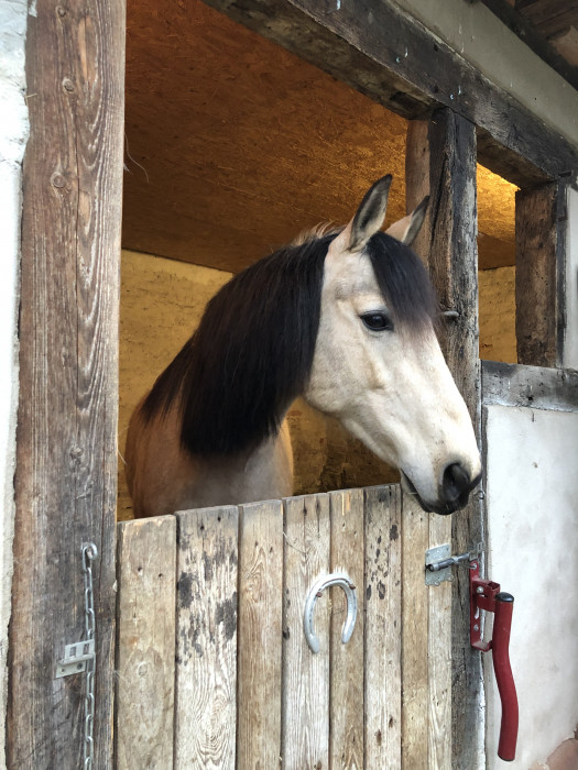 Photo de profil de valetdas