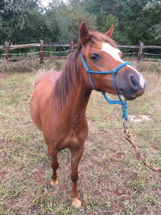 Photo de profil de vanadal