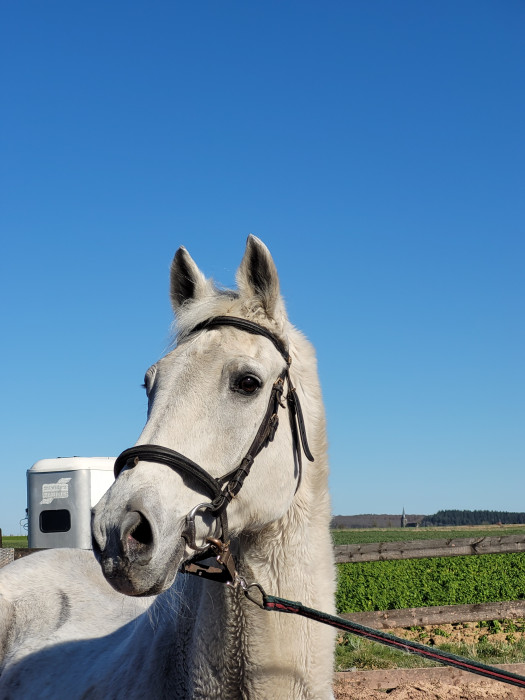 Photo de profil de vandengof