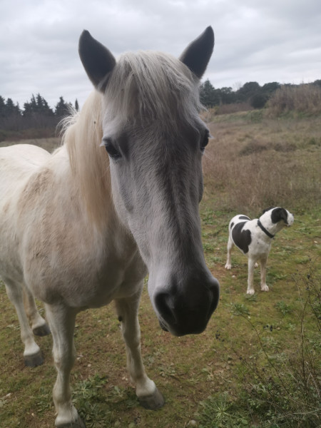 Photo de profil de vanes30