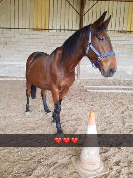 Photo de profil de vaness51