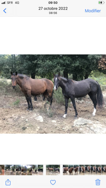 Photo de profil de vanessajoy