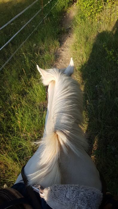 Photo de profil de vanillea