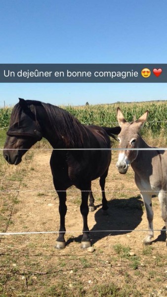 Photo de profil de vanyvert