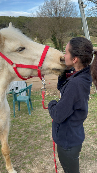 Photo de profil de vaskerko
