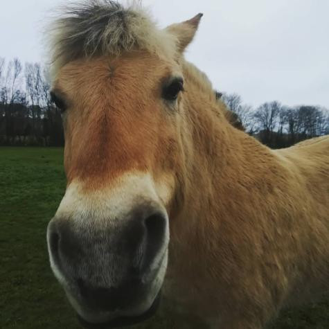 Photo de profil de vati