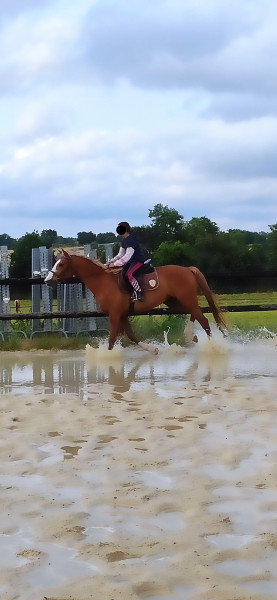 Photo de profil de veinor