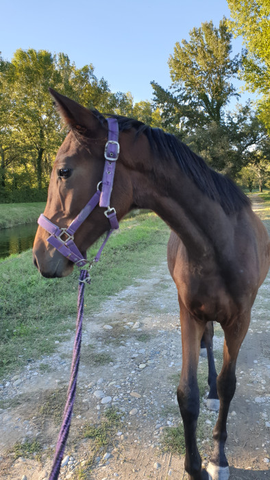 Photo de profil de venard66