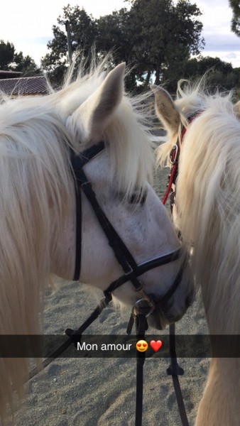 Photo de profil de venezia.cmr