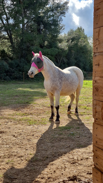 Photo de profil de venuus