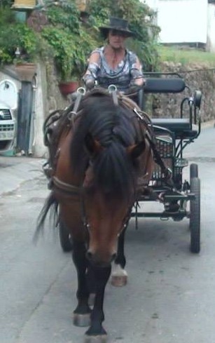 Photo de profil de veranch