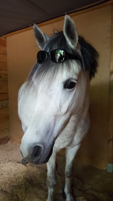 Photo de profil de vero7791
