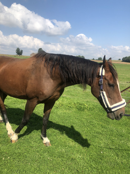 Photo de profil de vetent13