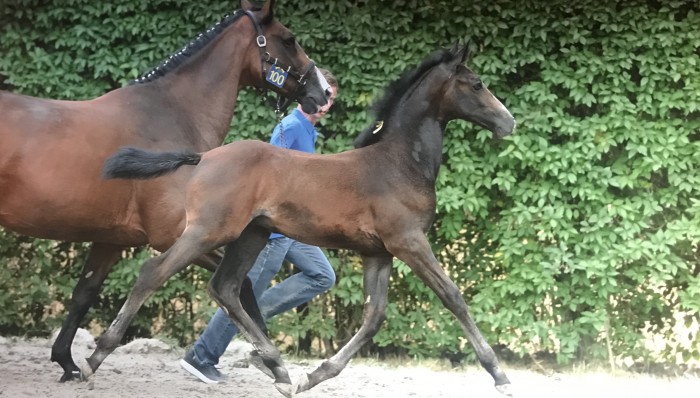 Photo de profil de veugenoah