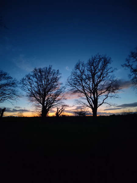 Photo de profil de vico53