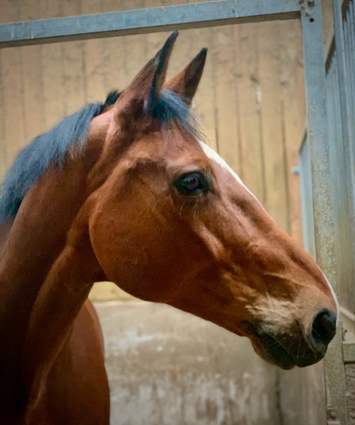 Photo de profil de victoire88