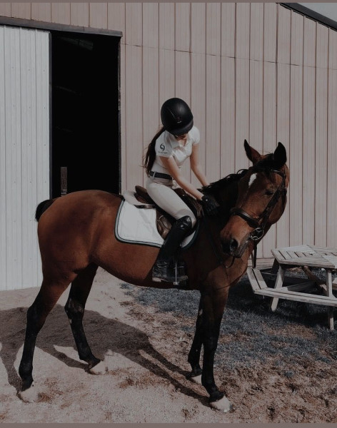 Photo de profil de victoire_horse