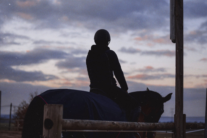 Photo de profil de victoria.equit