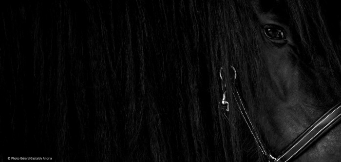 Photo de profil de view_france