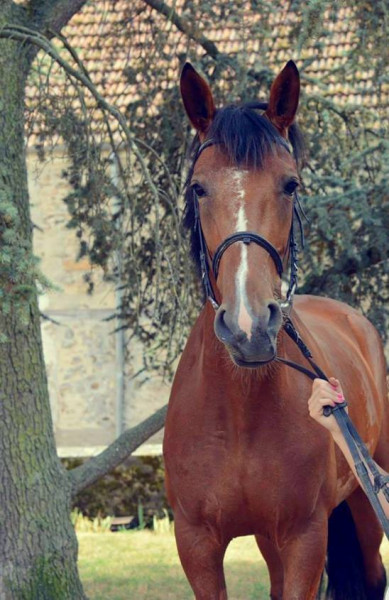 Photo de profil de viickyy77