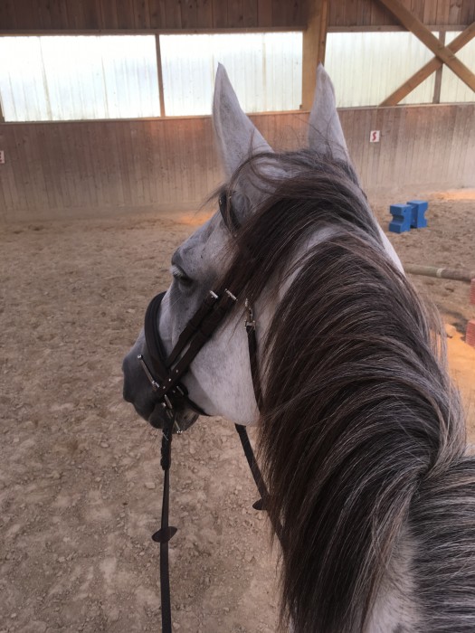 Photo de profil de vikouandme