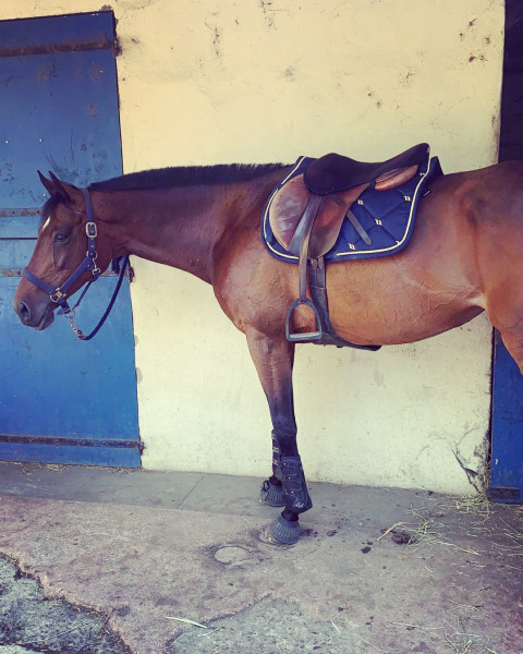 Photo de profil de vincenthnq