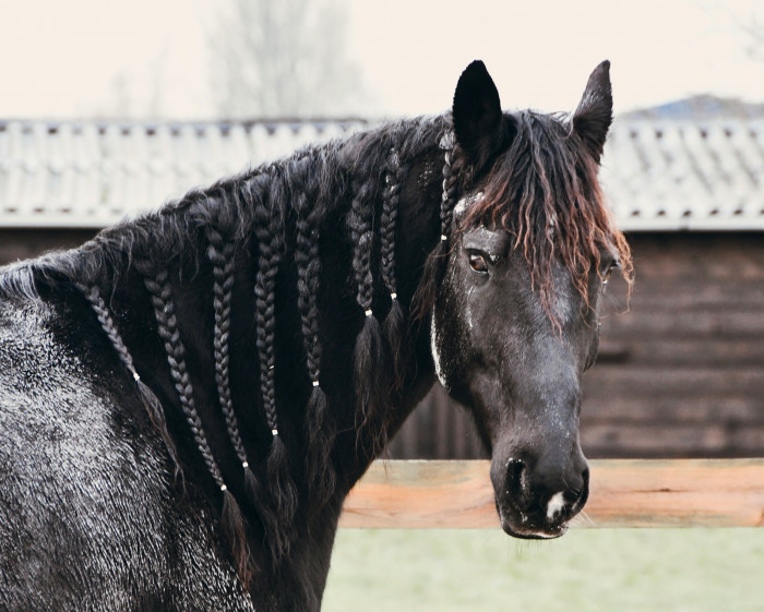 Photo de profil de vincju62