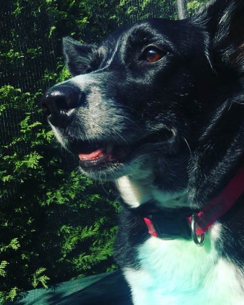 Photo de profil de violette6