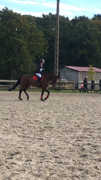 Photo de profil de virginie7