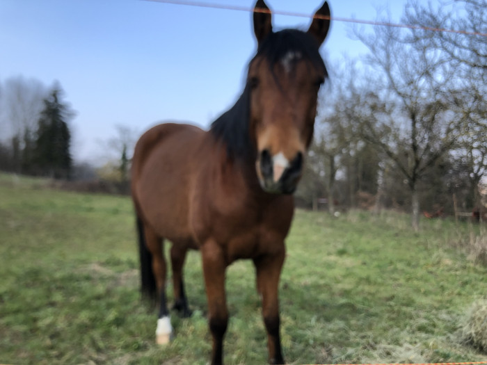 Photo de profil de virginieroyans