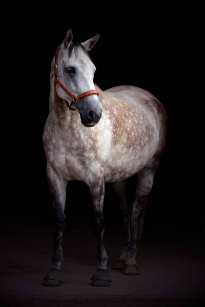 Photo de profil de virgo2