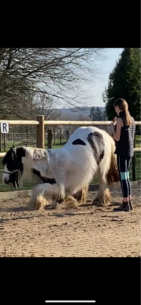 Photo de profil de vivisportislife