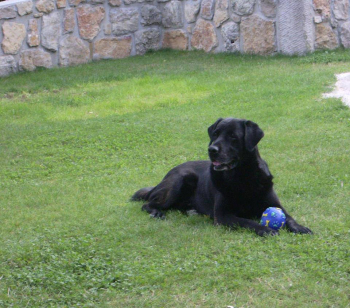 Photo de profil de vodks