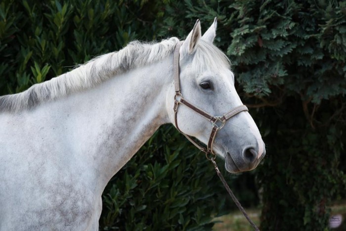 Photo de profil de vulcain77