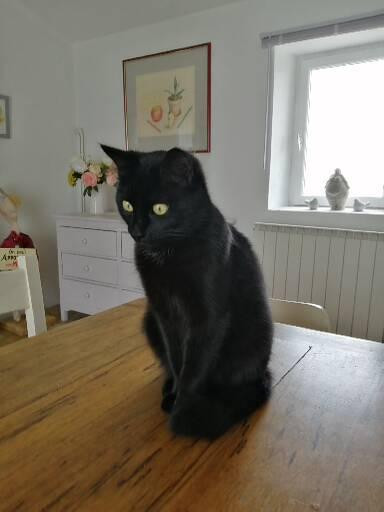 Photo de profil de watanee