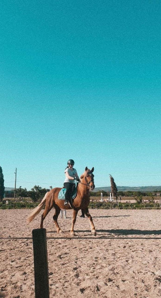 Photo de profil de wazer