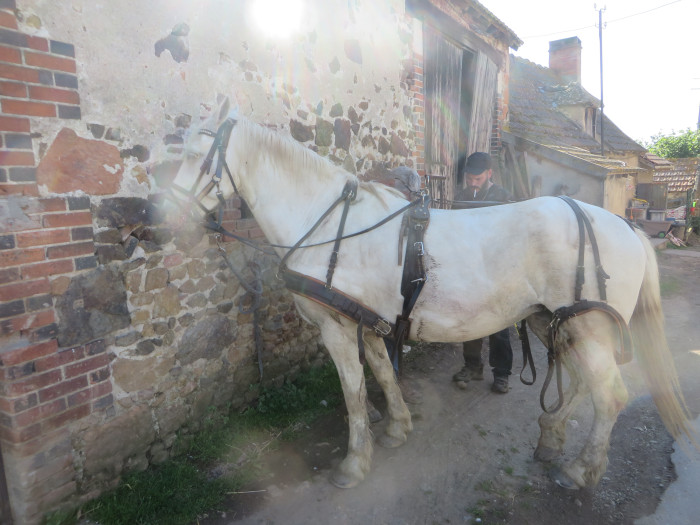 Photo de profil de welkenhuysen