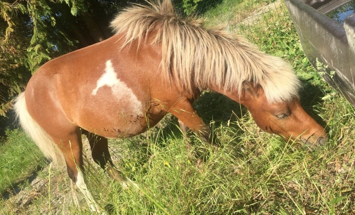 Photo de profil de wendie_nf